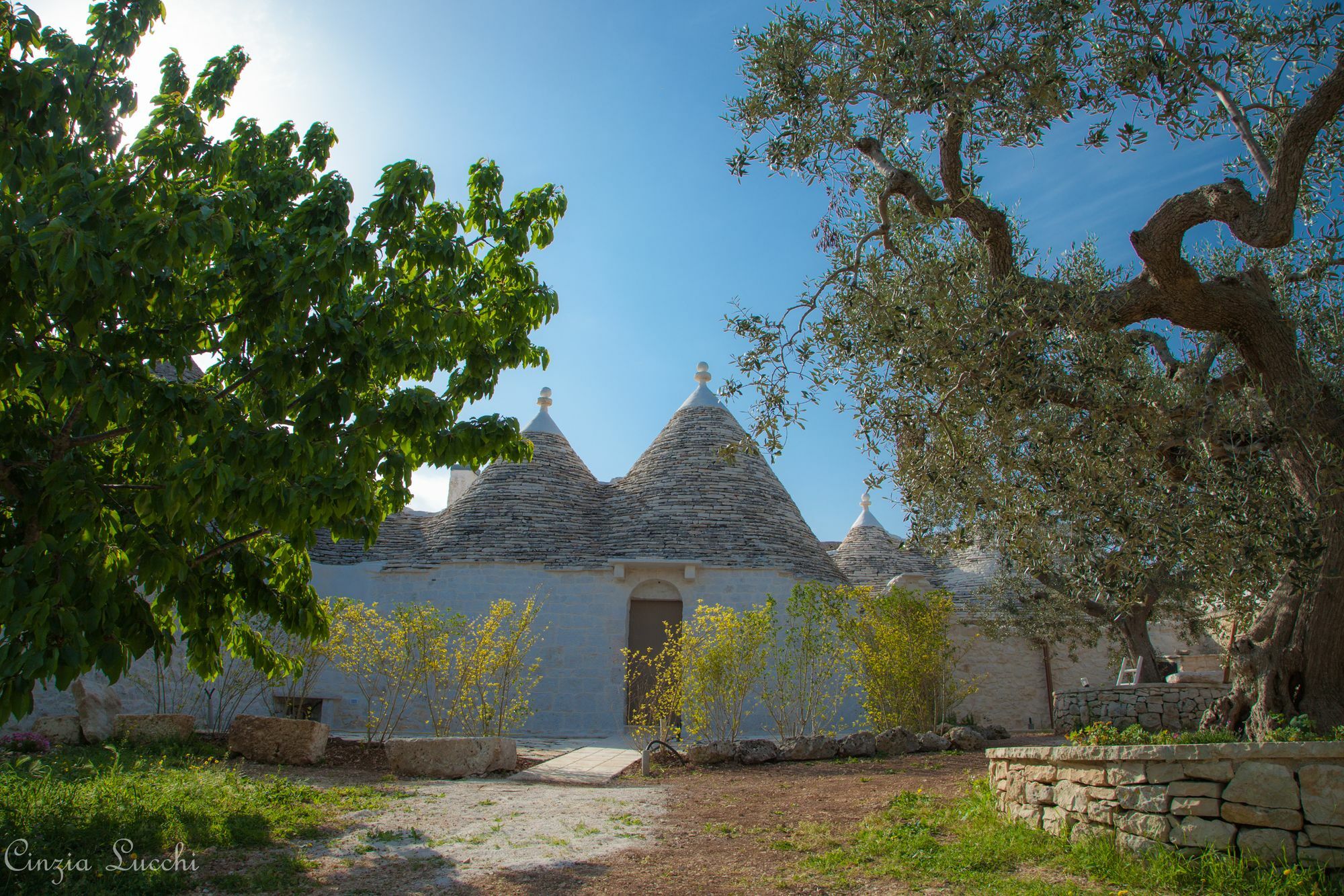 Trulli Barsento Pensionat Alberobello Eksteriør billede